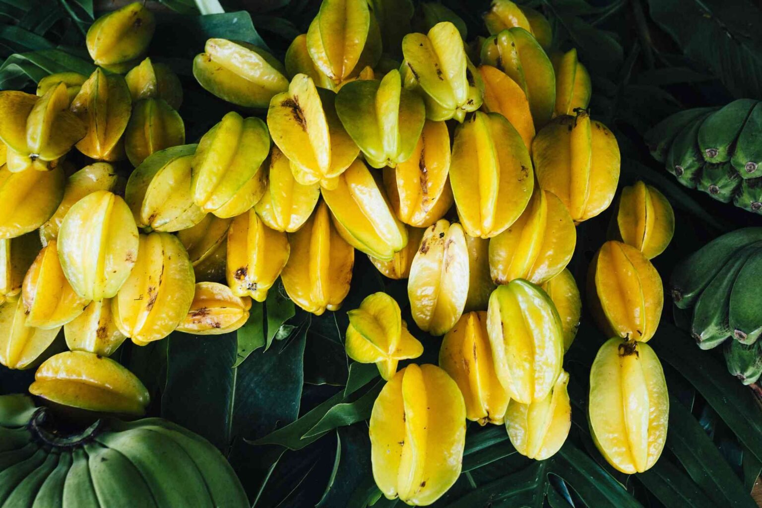 StarFruits-21321957abd34d868da1c121d9526496