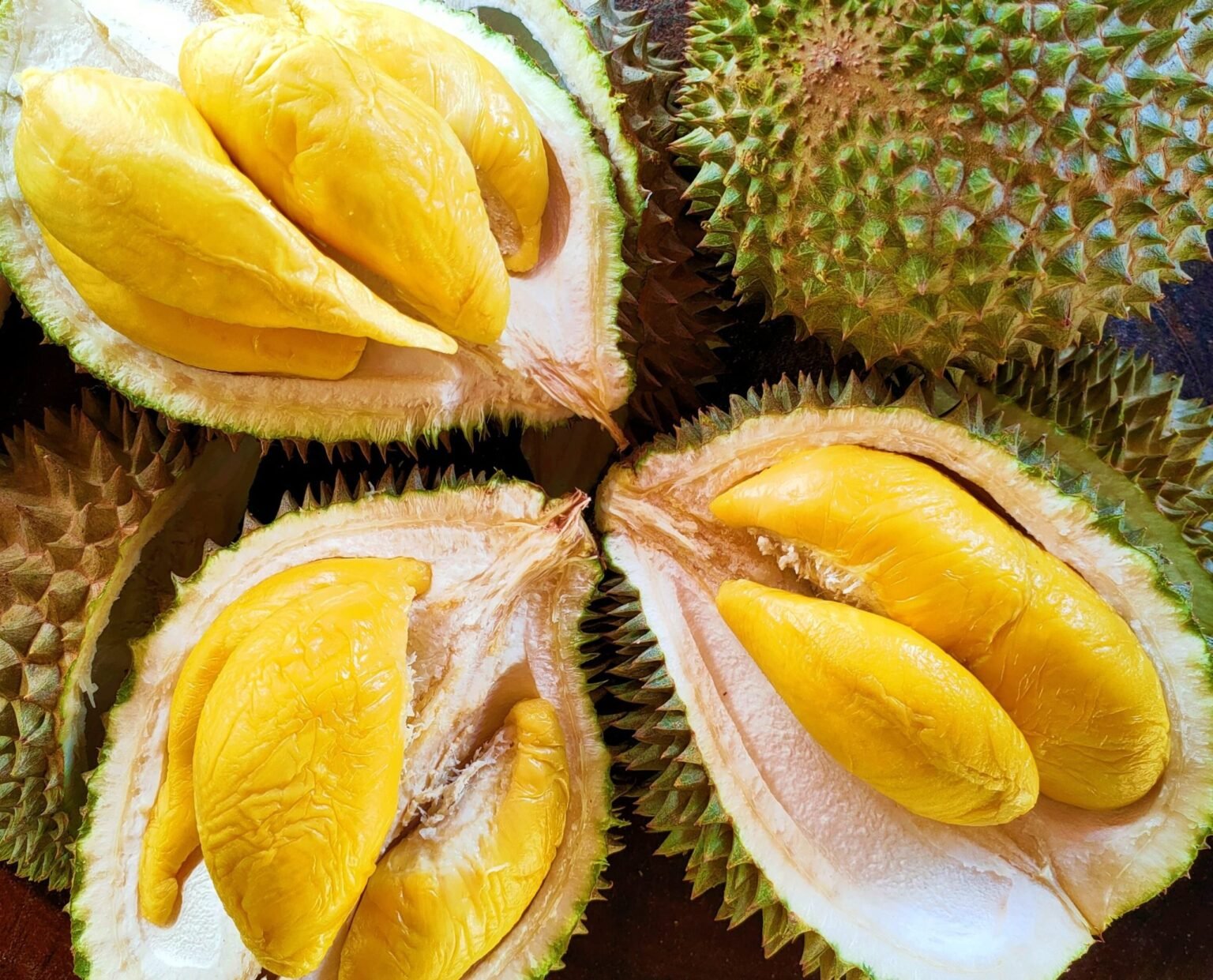 durian-scaled
