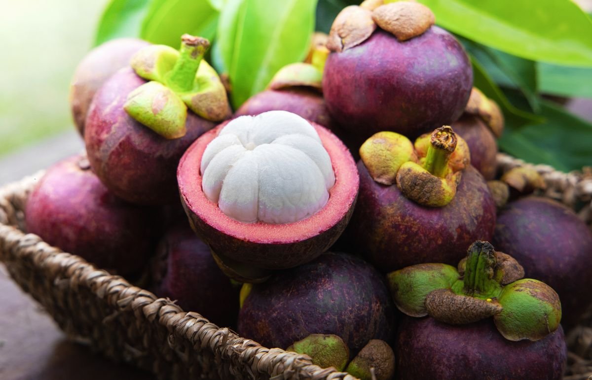 mangosteen-fruits-in-basket-2022-09-19-19-22-29-utc-1